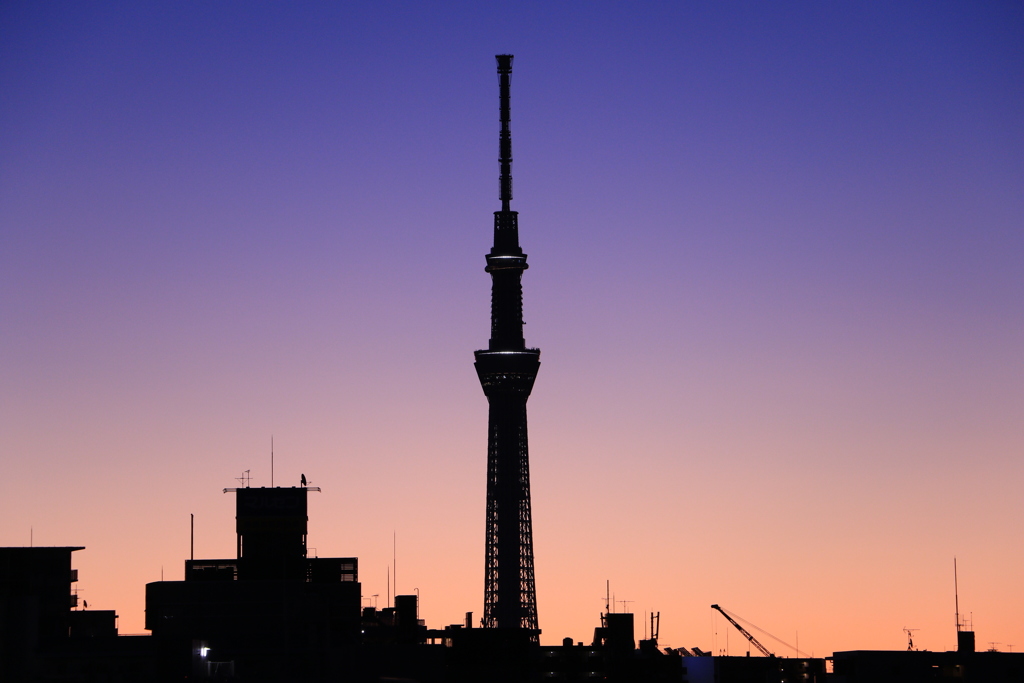 夜明けの兆し