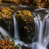 秋色の滝