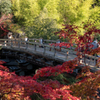 秋橋