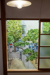 裸電球