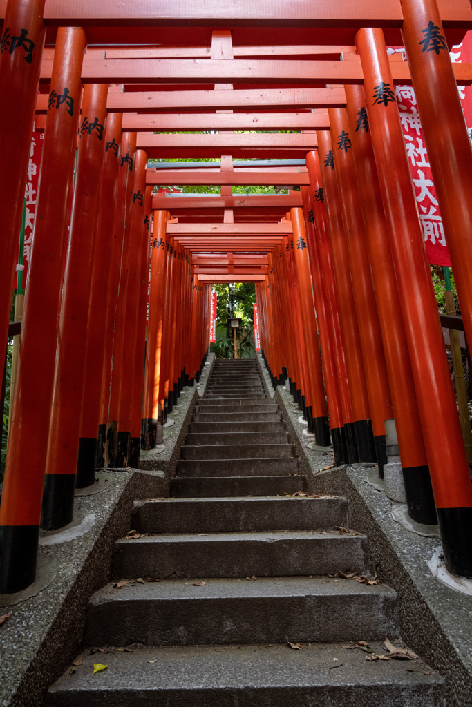 千本鳥居