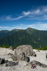 タカネビランジと白根三山
