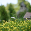 田園風景