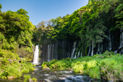白糸の滝