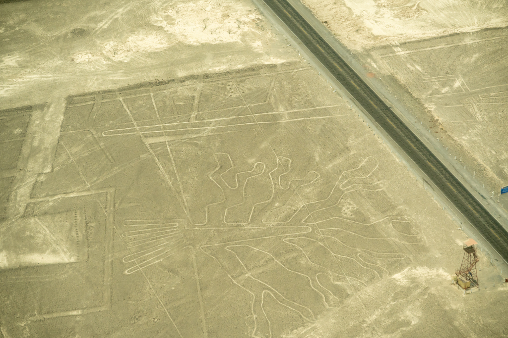 ナスカ地上絵（海藻）と旧展望塔