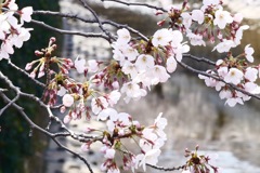 次は川へ