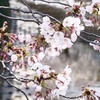 次は川へ