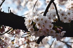 普通が一番てゆうか・・・