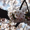 普通が一番てゆうか・・・