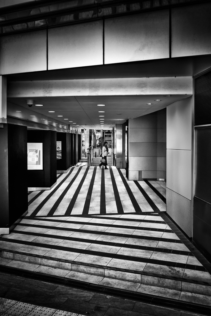 square ＆ line