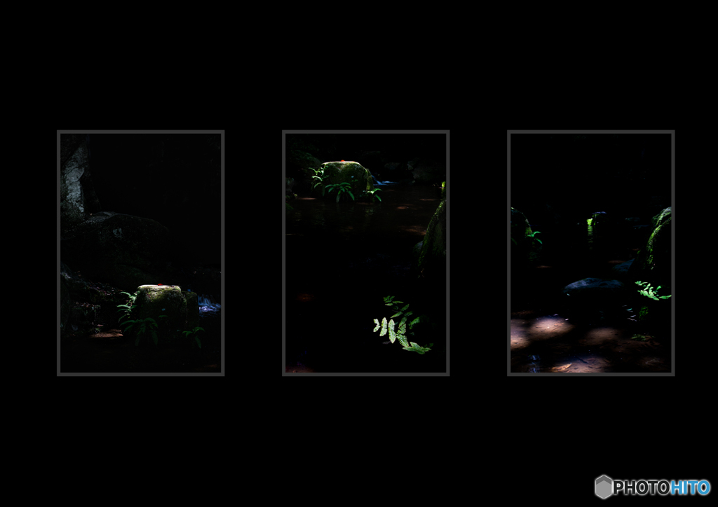 組写真 「妖精のステージ」