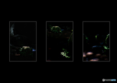 組写真 「妖精のステージ」