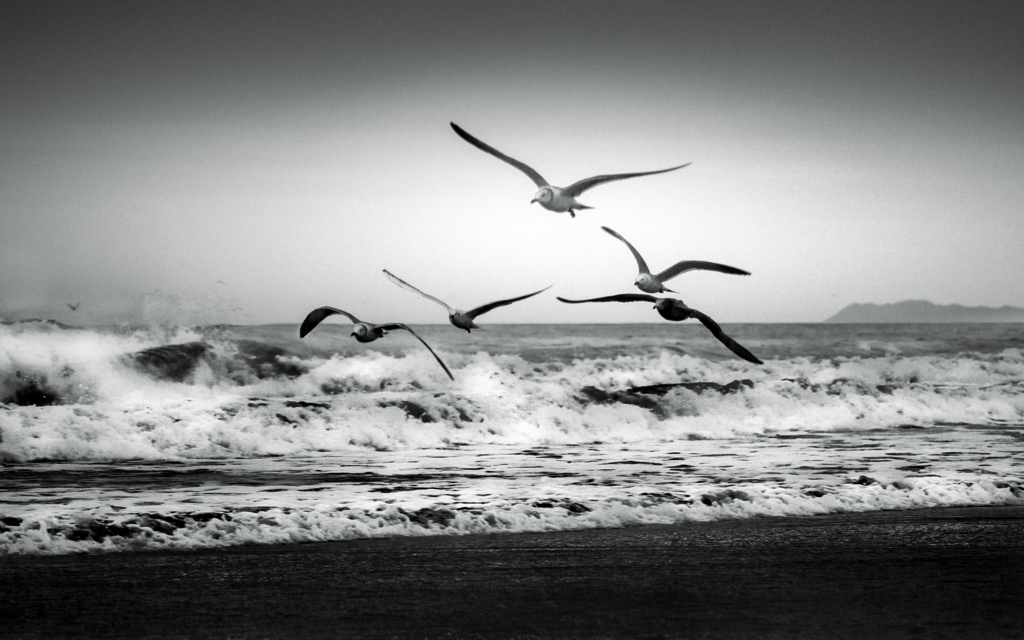 surf ＆ sky