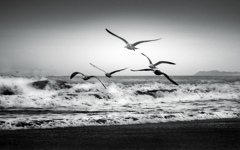surf ＆ sky