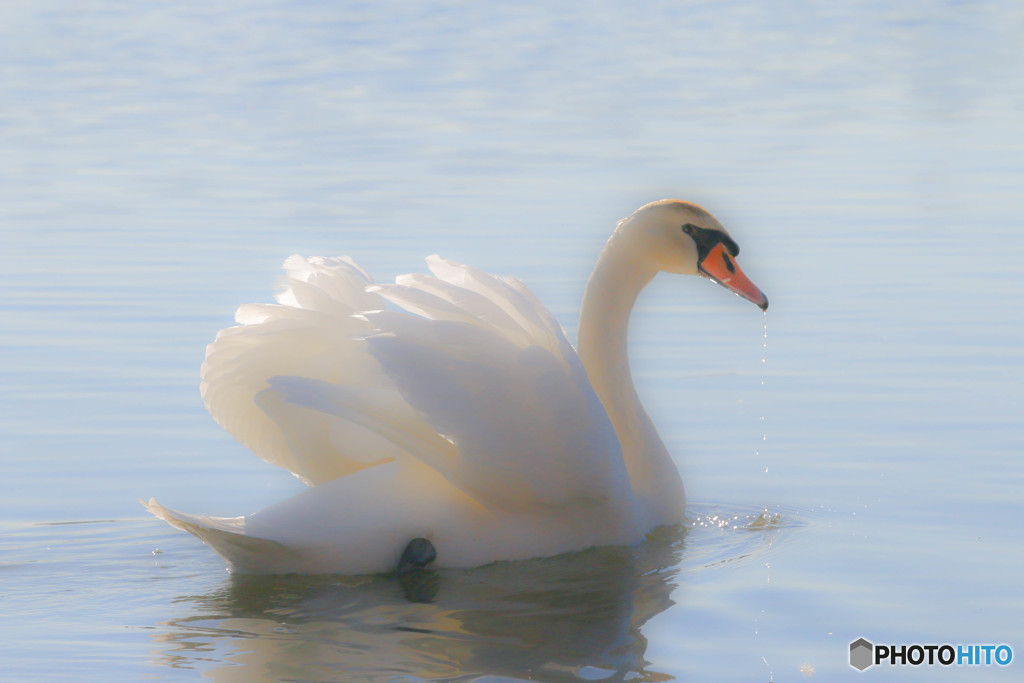 また会う日まで