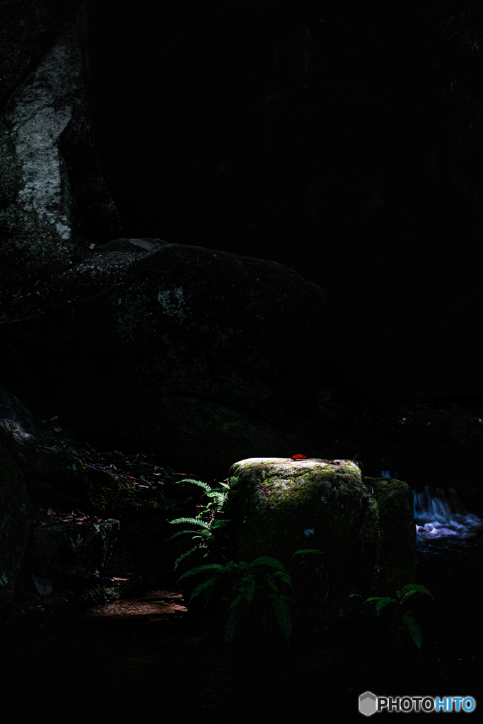 妖精のステージ