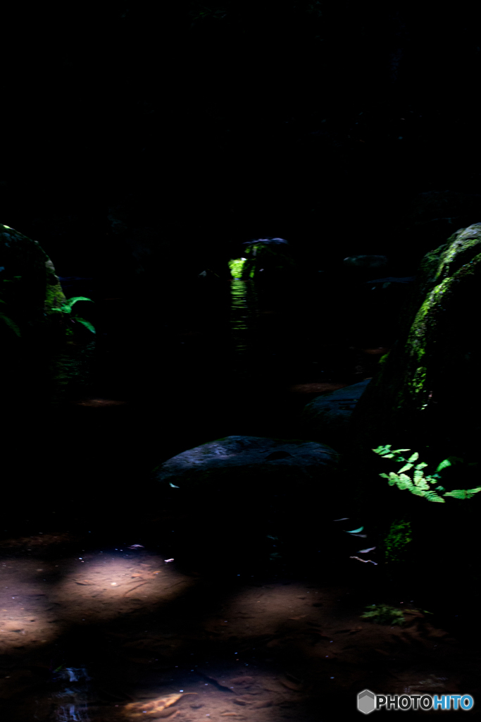 妖精のステージ