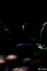 妖精のステージ