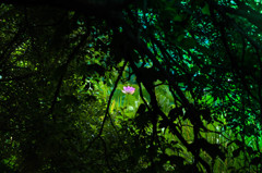 隙間から見た物