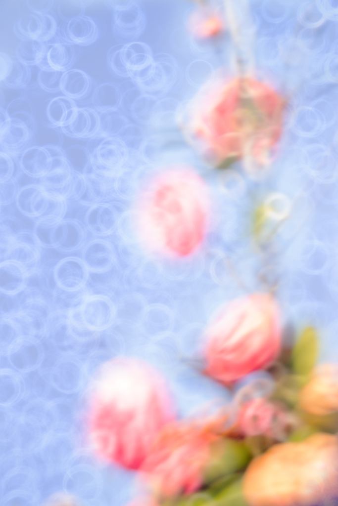 Rebirth of love