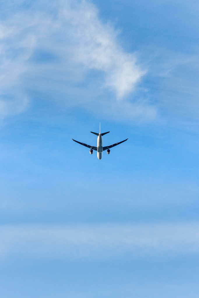 青い空の 翼