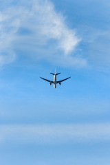 青い空の 翼