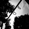 three ring