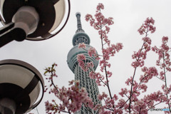 春はここから
