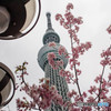 春はここから
