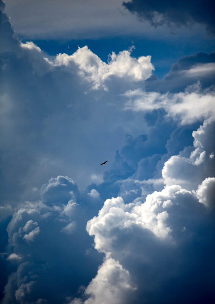 「乱れ雲」カラーバージョン