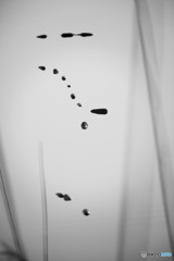 うなぎ