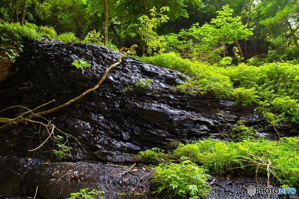 単線の旅の終わりに