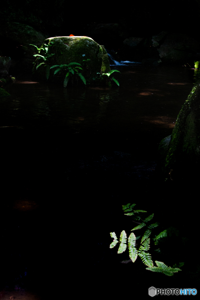 妖精のステージ