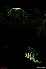 妖精のステージ