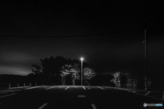 電灯