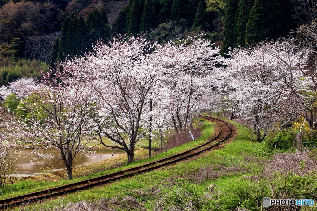 季節を運ぶ線路
