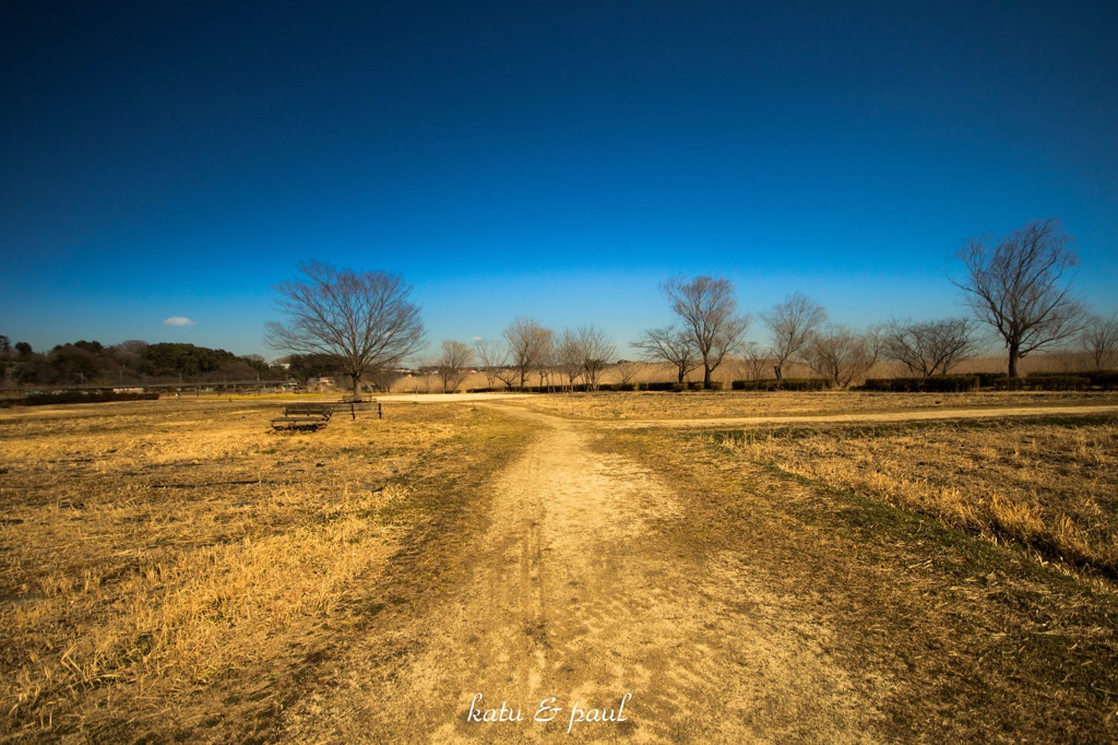 荒野の公園