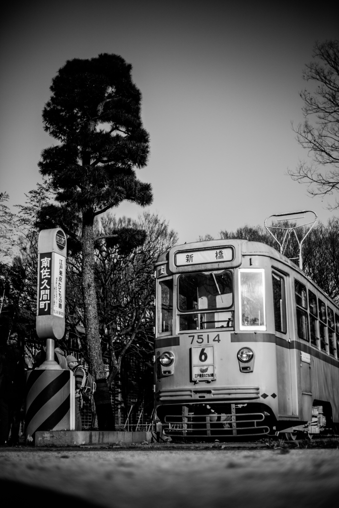 チン！チン！電車まもなく 出発です