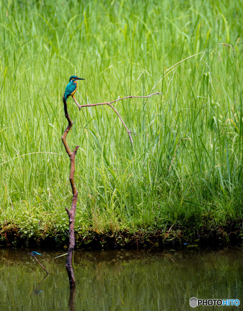 僕と君との世界