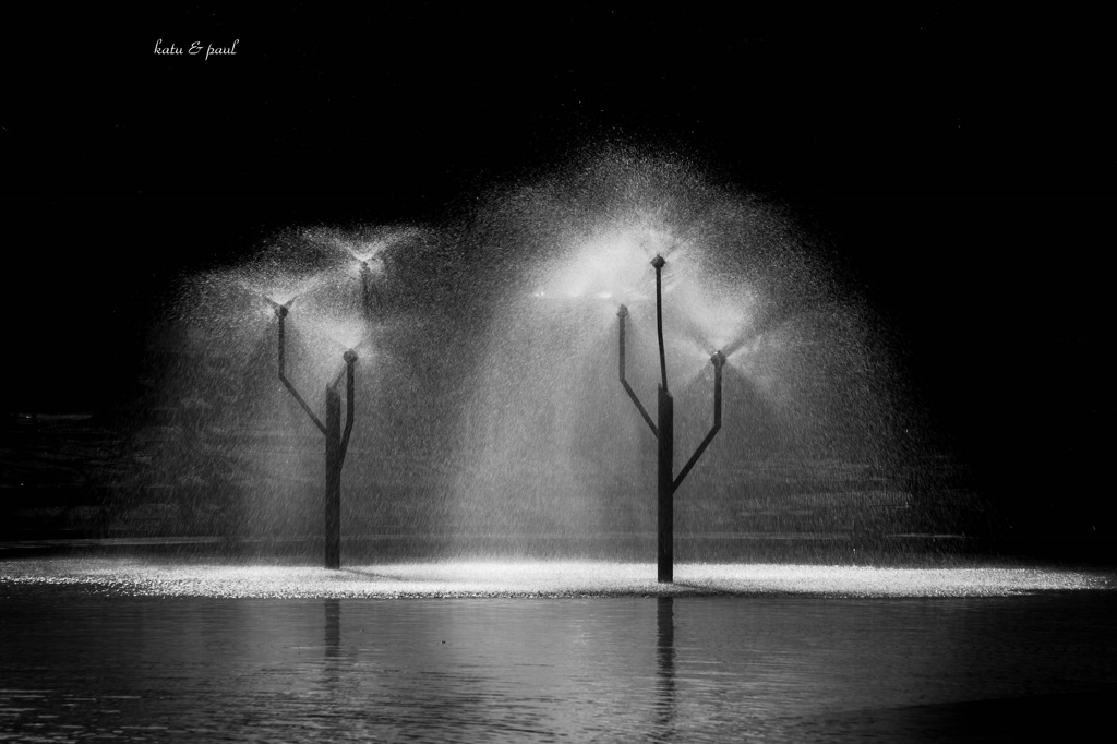 寂しさはお互いに