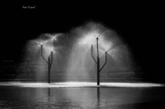 寂しさはお互いに