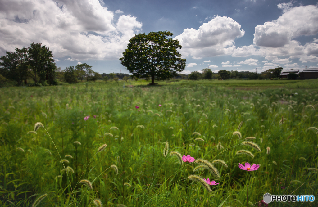 愛しく思う秋は まだ