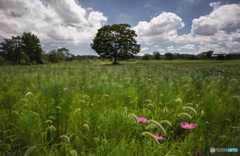 愛しく思う秋は まだ