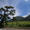 島根紀行①