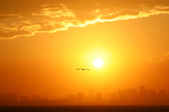 台風一過