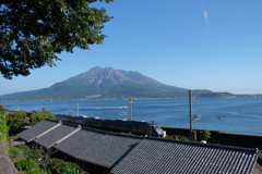 仙巌園から桜島を臨む