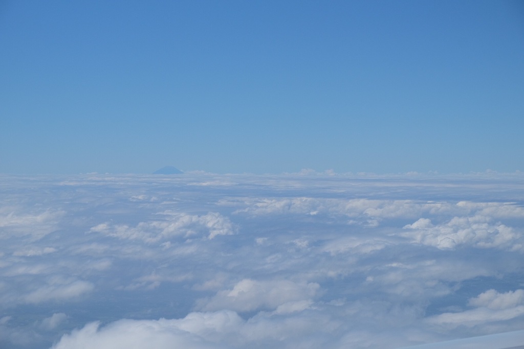雲海と富士
