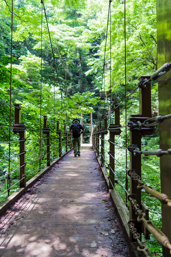 山歩き