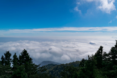 雲海