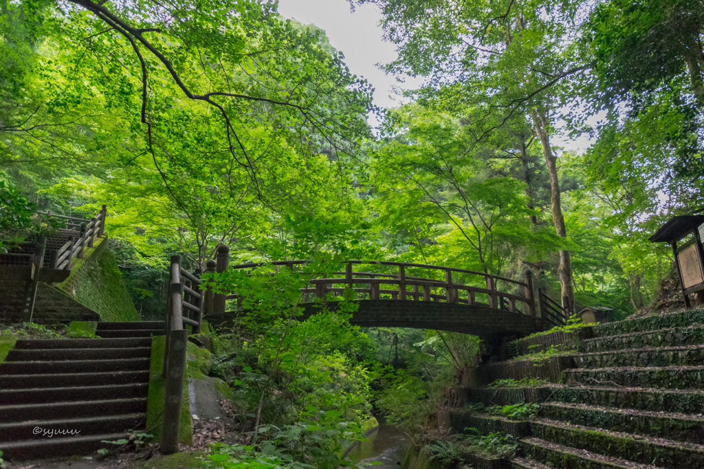 橋